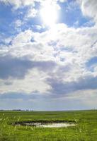 North German coast nature landscape panorama from Bremerhaven Germany. photo