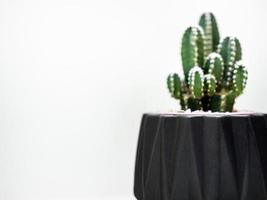 Black geometric planter with cactus. Painted concrete planter for home decoration photo