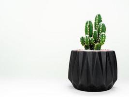 Black geometric planter with cactus. Painted concrete planter for home decoration photo