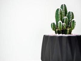 Black geometric planter with cactus. Painted concrete planter for home decoration photo