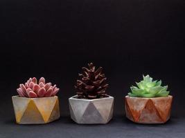 Colorful pentagon geometric planters. Painted concrete planters for home decoration photo