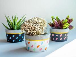 Colorful round geometric planters. Painted concrete pots for home decoration photo