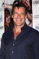 LOS ANGELES, OCT 27 - David James Elliott at the Hit By Lightning, Los Angeles Premiere at the ArcLight Hollywood Theaters on October 27, 2014 in Los Angeles, CA photo