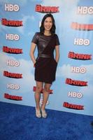 LOS ANGELES, JUN 8 - Cass Bugge at the HBOs The Brink Premiere at the Paramount Studios on June 8, 2015 in Los Angeles, CA photo