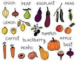 Set of isolated hand drawn colored fruits and vegetables. Vector doodle collection of apples, pear, lemons, pumpkins, blackberries, carrots, eggplants.