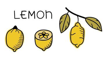 Set of hand drawn isolated lemons. Vector doodle stickers, lemon icons.