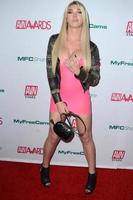 LOS ANGELES  NOV 21 - Aubrey Kate at the 2020 AVN Awards Nominations Party at the Avalon on November 21, 2019 in Los Angeles, CA photo