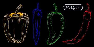 Hand drawn set of multicolored different types of peppers. Bulgarian, sweet, jalapeno, chili isolated on black background. Sketch style vector paprika.