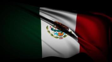 Loop of Mexico flag waving in wind video