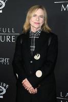 LOS ANGELES  JAN 16 - Amy Madigan at the The Last Full Measure Premiere  Arrivals at the ArcLight Hollywood on January 16, 2020 in Los Angeles, CA photo