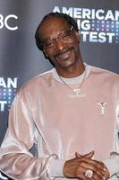 LOS ANGELES  JAN 14 - Snoop Dogg at the Bad Boys for Life Premiere at the TCL Chinese Theater IMAX on January 14, 2020 in Los Angeles, CA photo