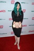 LOS ANGELES  NOV 21 - HackerGirl at the 2020 AVN Awards Nominations Party at the Avalon on November 21, 2019 in Los Angeles, CA photo