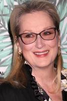 LOS ANGELES   FEB 24 - Meryl Streep at the 10th Annual Women in Film Pre Oscar Cocktail Party at Nightingale Plaza on February 24, 2017 in Los Angeles, CA photo