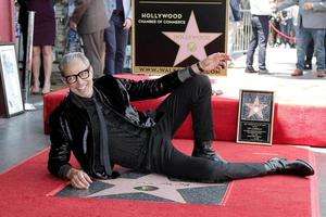 LOS ANGELES - JUN 14  Jeff Goldblum at the ceremony honoring Jeff Goldblum with a Star on the Hollywood Walk of Fame on June 14, 2018 in Los Angeles, CA photo