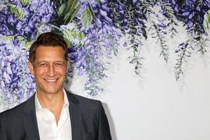 LOS ANGELES   JUL 26 - Robert Gant at the Hallmark TCA Summer 2018 Party on the Private Estate on July 26, 2018 in Beverly Hills, CA photo