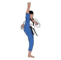 vector de diseño de ilustración de taekwondo. perfecto para el diseño de camisetas o el logotipo