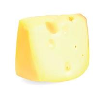 Realistic Cheese Vector Illustration