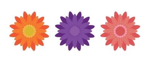 Abstract Flowers on White Background. Vector Illustration.