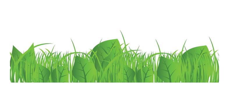 Flower and grass Borders set. vector illustration