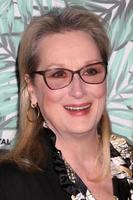 LOS ANGELES   FEB 24 - Meryl Streep at the 10th Annual Women in Film Pre Oscar Cocktail Party at Nightingale Plaza on February 24, 2017 in Los Angeles, CA photo