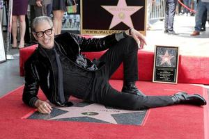 LOS ANGELES - JUN 14  Jeff Goldblum at the ceremony honoring Jeff Goldblum with a Star on the Hollywood Walk of Fame on June 14, 2018 in Los Angeles, CA photo
