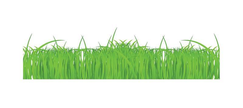 Flower and grass Borders set. vector illustration