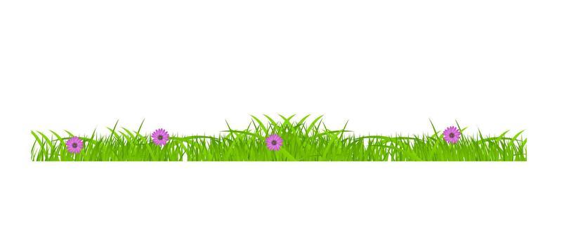 Flower and grass Borders set. vector illustration