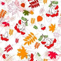 A seamless leaf  and rowanberrys pattern vector background.