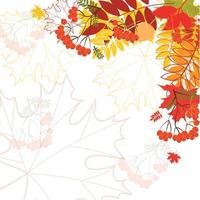 Autumn leaves falling background vector