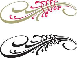 Calligraphic vector design elements isolated on white