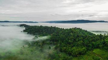 Mountains with trees and fog in thailand photo