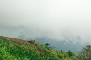 Landscape of   fog  and Mountain ,in Thailand photo