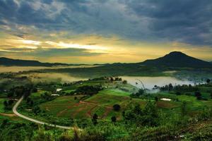 Mountains with trees and fog in thailand photo