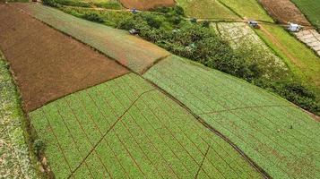 An aerial view of  Agricultural area photo