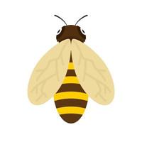 abeja plana icono multicolor vector