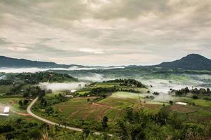 Mountains with trees and fog in thailand photo