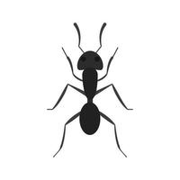 Ant Flat Multicolor Icon vector