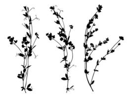 Set of wildflowers silhouettes isolated on white background. Meadow flowers collection. Vector illustration.