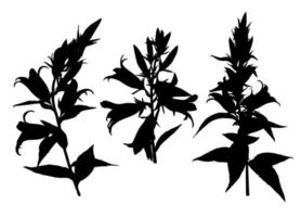 Set of Bluebell flower silhouettes isolated on white background. Meadow flowers collection. Vector illustration.