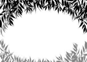 plantas marco blanco y negro con hojas aisladas sobre un fondo blanco. espacio para texto. elemento de diseño para afiches, pancartas, volantes, invitaciones, tarjetas o web. vector