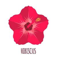 Hibiscus flower icon in flat style isolated on white background. Ayurvedic medicinal plant. Tropical exotic flower. Vector illustration.