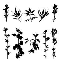 Silhouettes of twigs with leaves isolated on white background. Set of Black branches. Vector illustration.