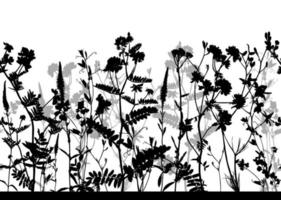 patrón floral horizontal transparente aislado sobre fondo transparente. fondo blanco y negro con siluetas de flores. elemento de diseño para tela, textil, papel pintado y etc. ilustración vectorial. vector