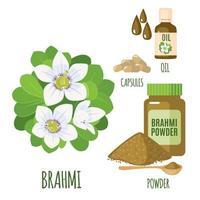 Brahmi set with powder, oil and capsules in flat style isolated on white background. Bacopa monnieri, Waterhyssop, gratiola, Indian pennywort. Medicinal plant. Vector illustration.