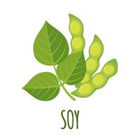 Soy icon in flat style isolated on white background. Vector Illustrations. Soy beans plant illustration.