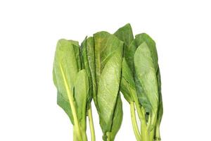 vegetable isolated on a white background photo