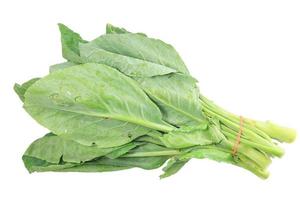 Green leaves of vegetables and white background. photo