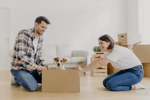 Horizontal shot of lovely woman moves cardboard box with small puppy to husband side, spend free time together, move in new modern dwelling, unpack belongings, start new life in modern flat. photo