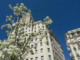 the city of Madrid in spain photo