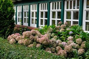 la isla spiekeroog en alemania foto